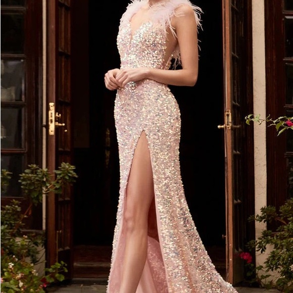 Sequin Dress with Feather Straps - Picture 1 of 6